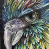 Macaw 11x14 arylci 2023 375 scaled scaled