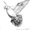 JamesPerry Pigeon Glory 200 Pen On Paper 8.5X13 2023 scaled scaled