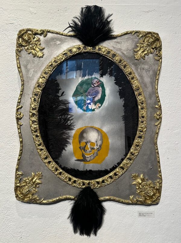 Green Circle Bluebird Orange Circle Skull