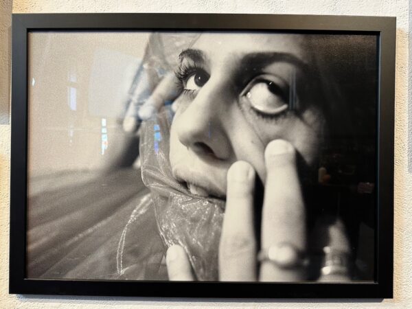 Once Upon in Chicagoland 2