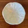 Cabbage Bowl