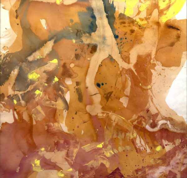 Creek Side in Wild California