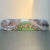 Trailblaze | Clare Hebert | Acrylic on Skateboard | 8x31 in | 2025