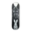 Overshadow Emily20Ding Acrylic Skateboard 500 8x31inch 2025