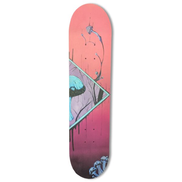 Tusk and mushrooms 2