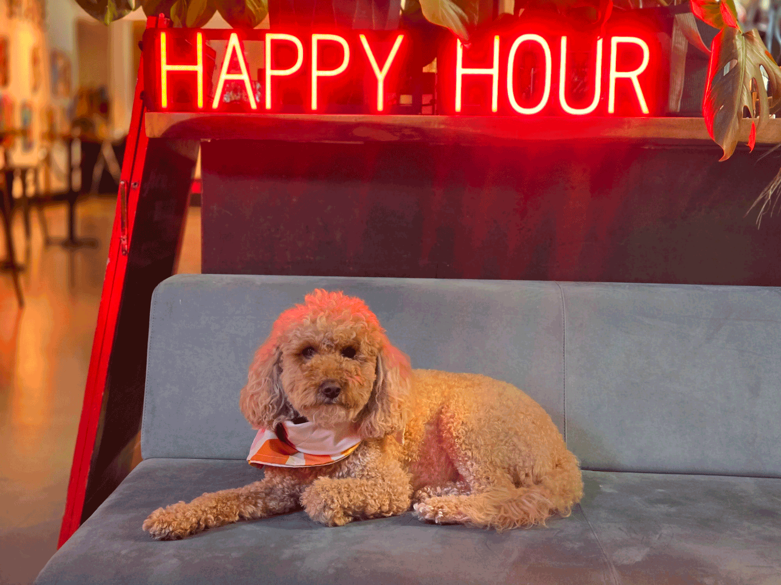 111 Minna Gallery Happy Hour with Poppy