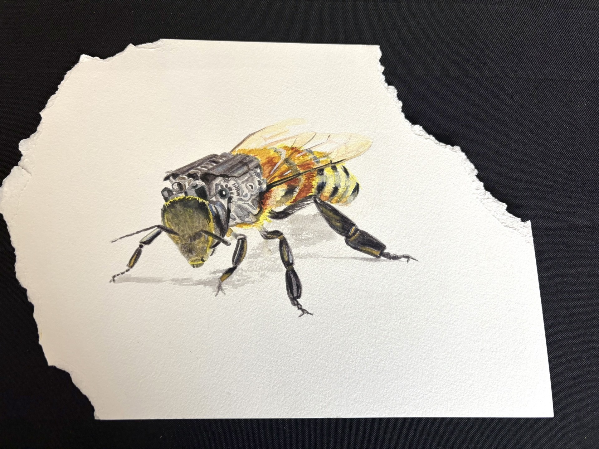 Corb by Robert Bowen