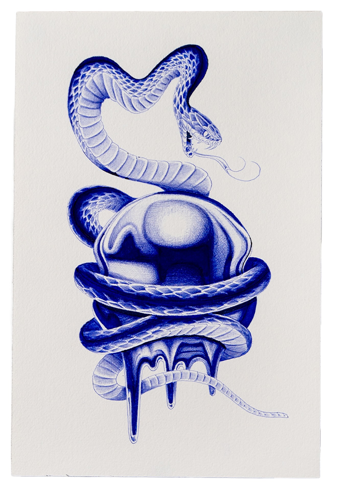 Blue Snake on Ball James Fernella 400 Ink on