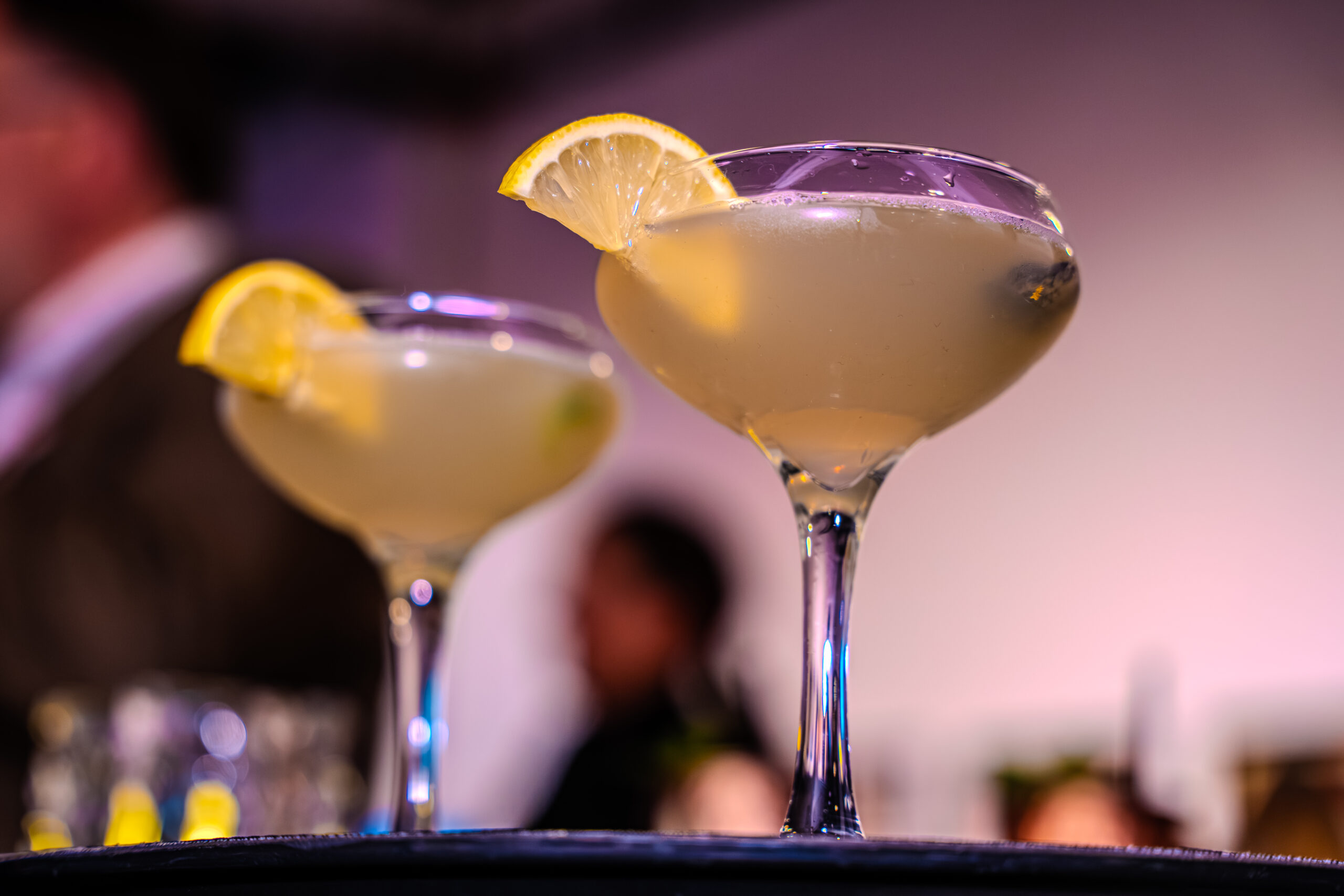 20251111 DSC07531 scaled