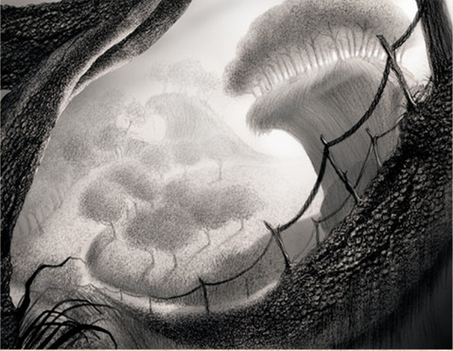 Landscape 8 by Randy Gaul