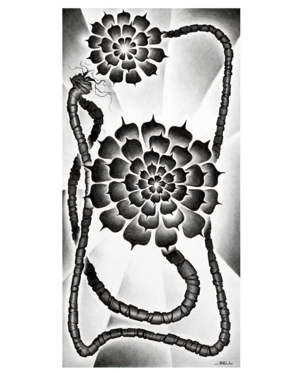 Specimen 11 by John Bell