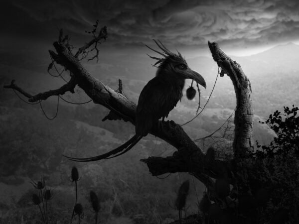 The Thistler by Randy Gaul