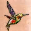 Annas Hummingbird