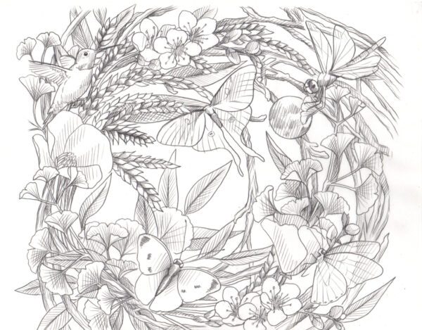 Natural Attraction III Sketch