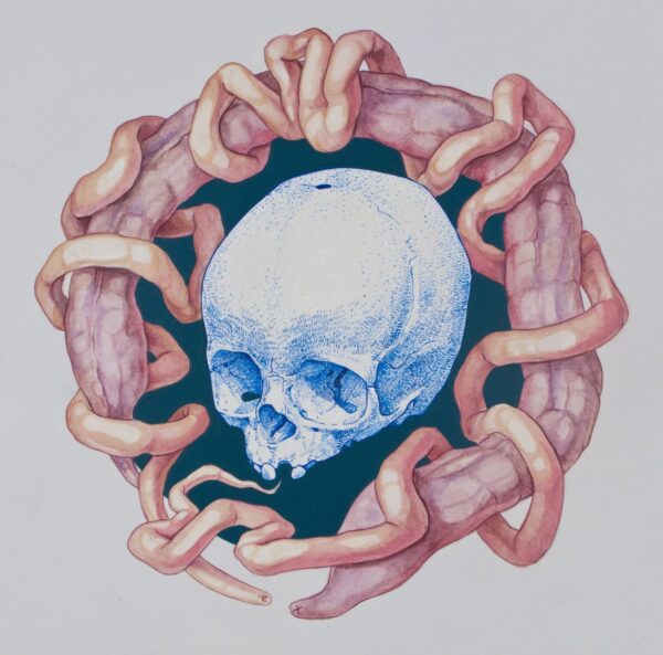 Small Drawing (Skull)