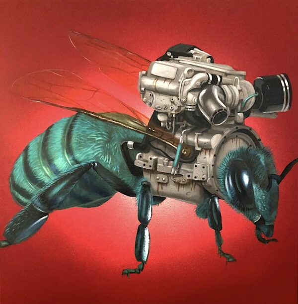 Trouble in Torquoise