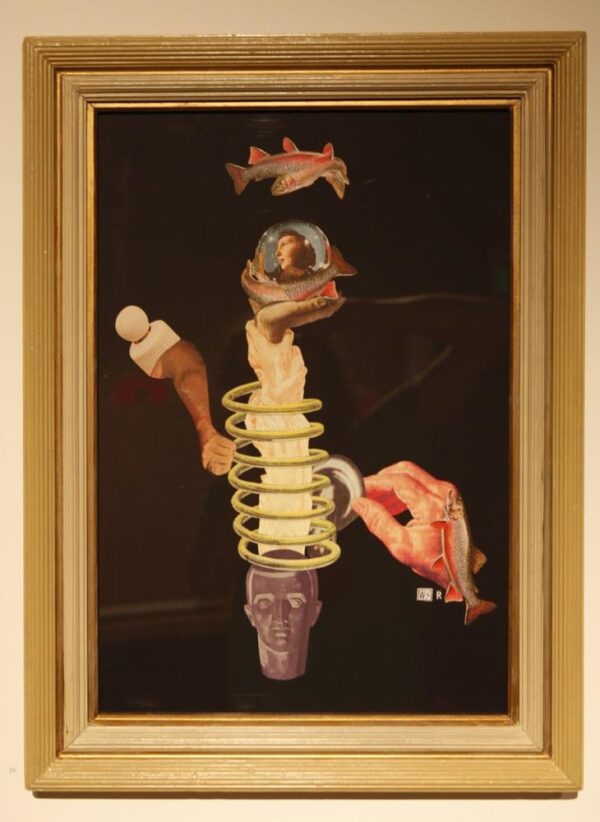 Trout Fishing In America