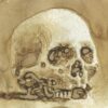 Skull Study (Coffee)