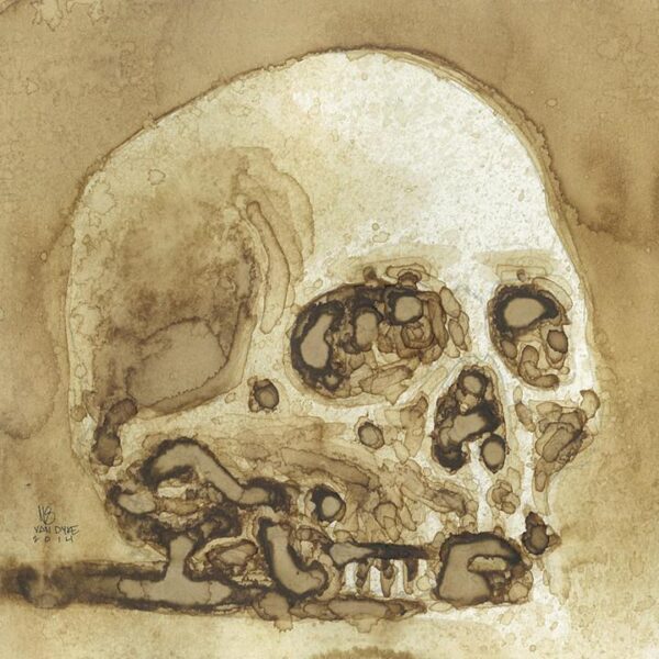 Skull Study (Coffee)