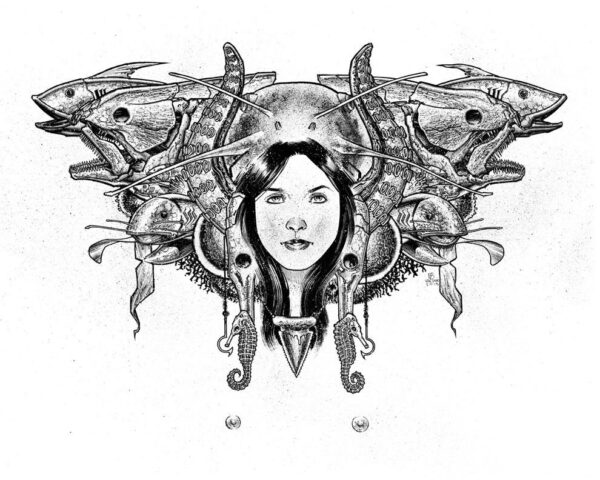 Plenty Of Fish In The Sea