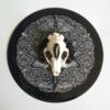 fragilesolitude raccoonskullvinyl sherriethaiart